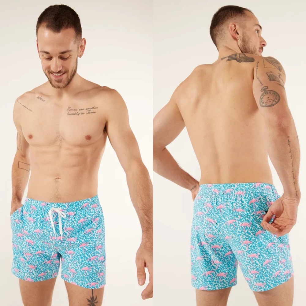 Chubbies The Domingos Are For Flamingos Swim Trunks, M